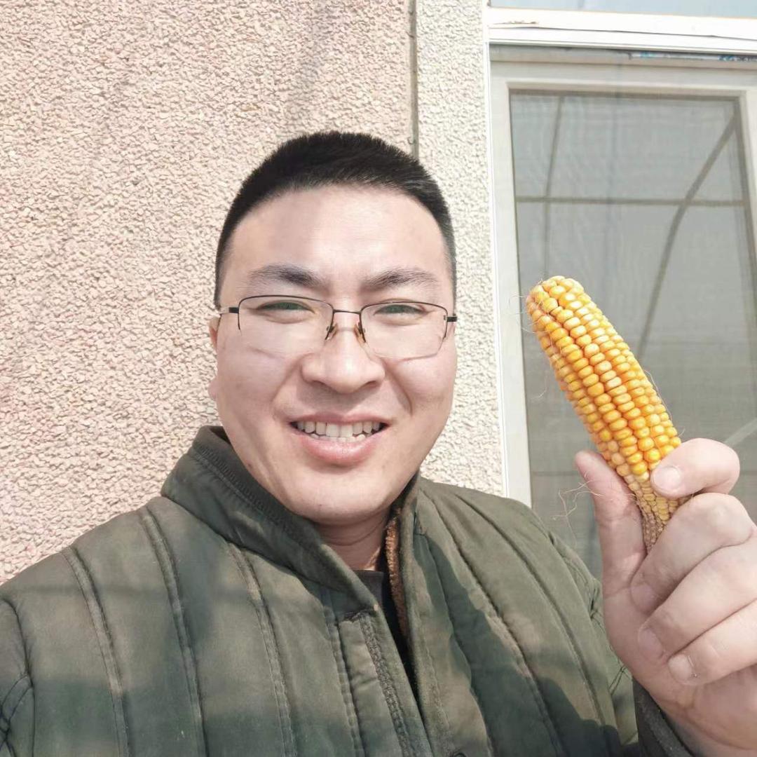 大果很正经儿（东北土特产）