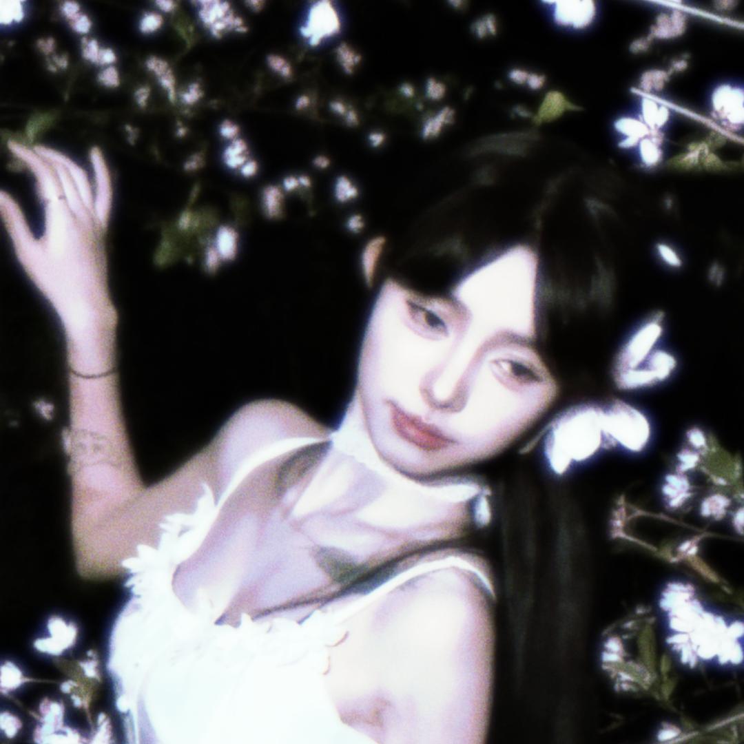 粥粥＄