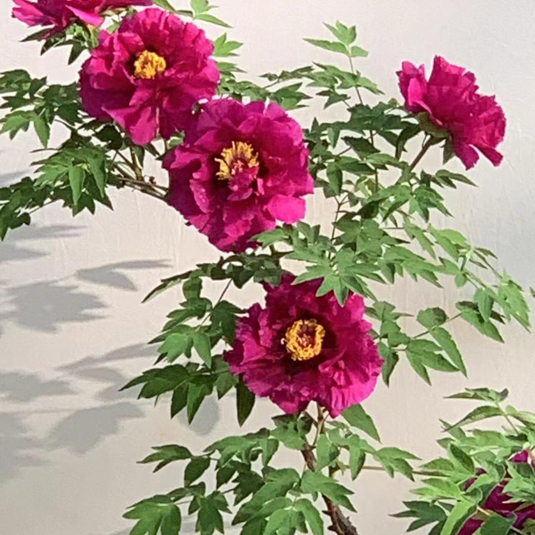 阳光姐