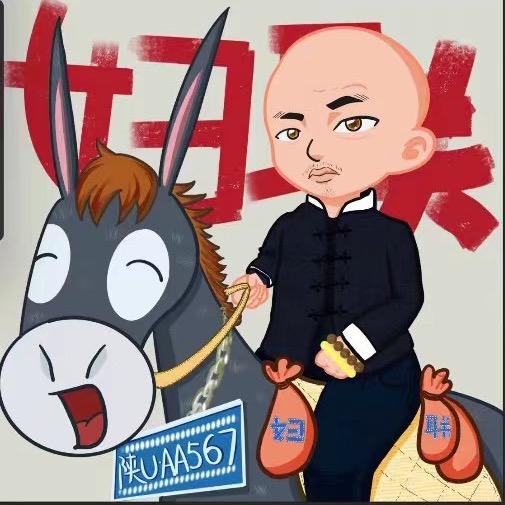 陕西胆哥（退一赔三）金诺汽车城