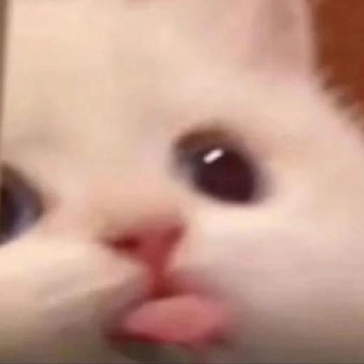 oi.
