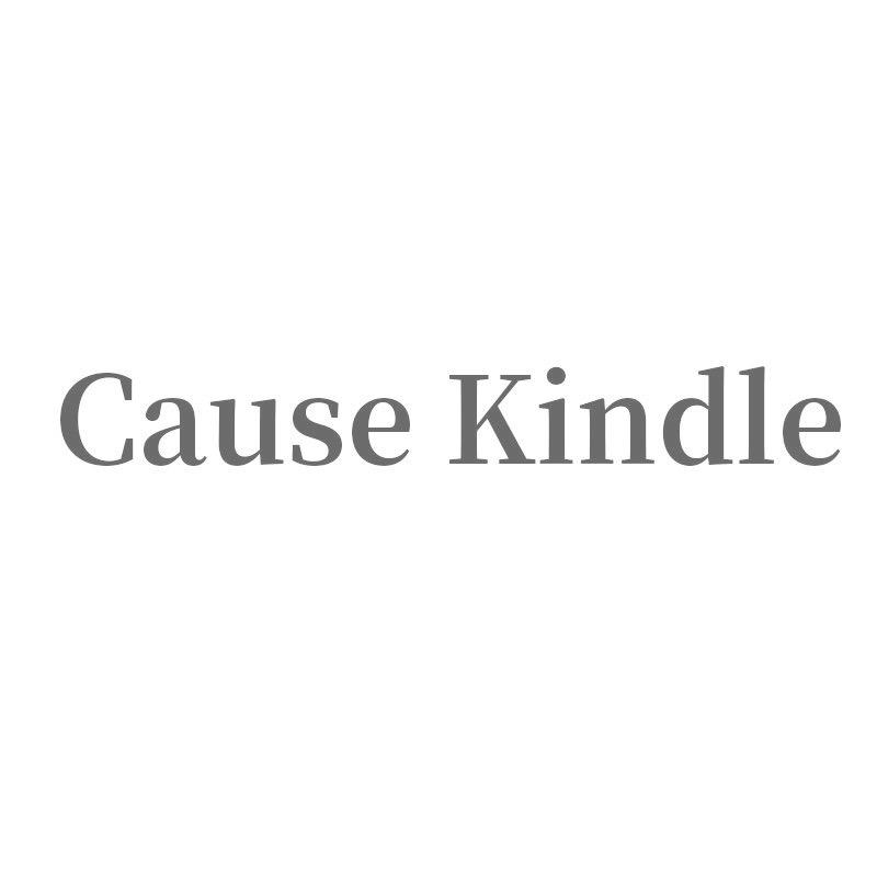 CAUSE KINDLE官方旗舰店
