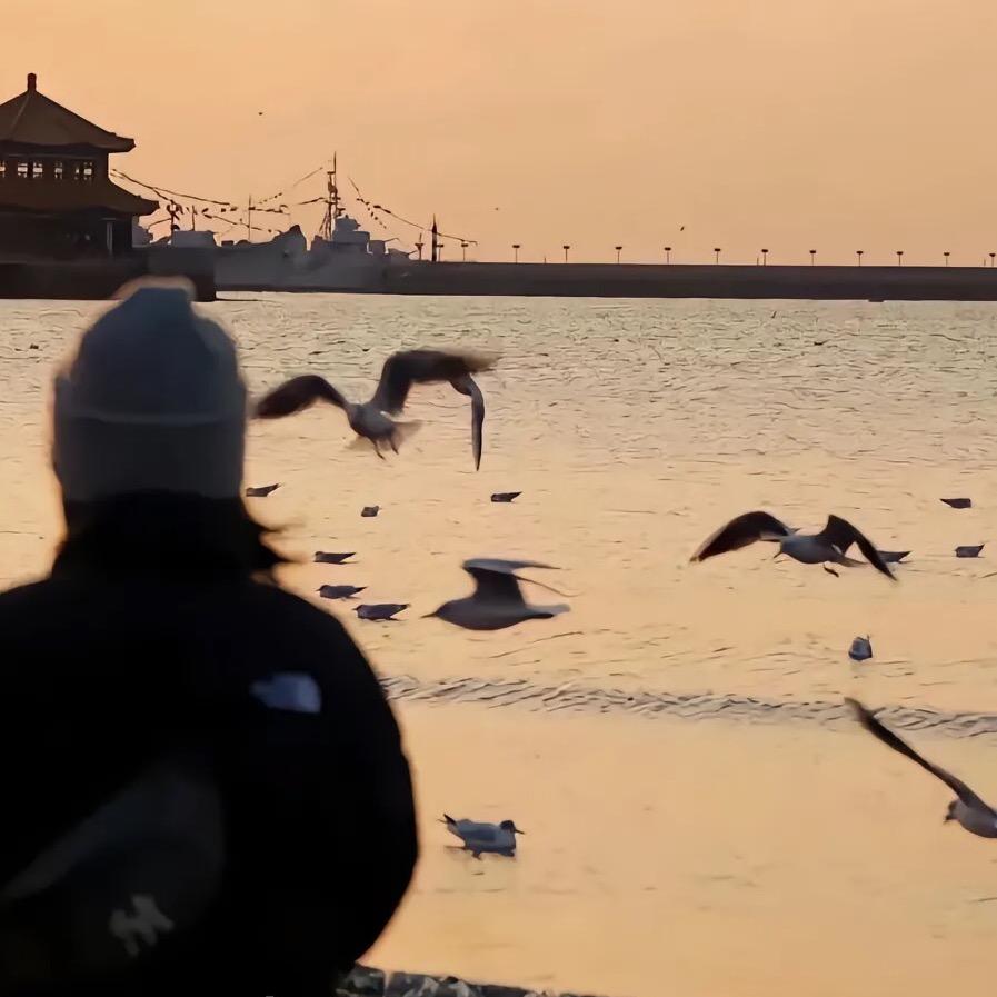 胖妞看剧