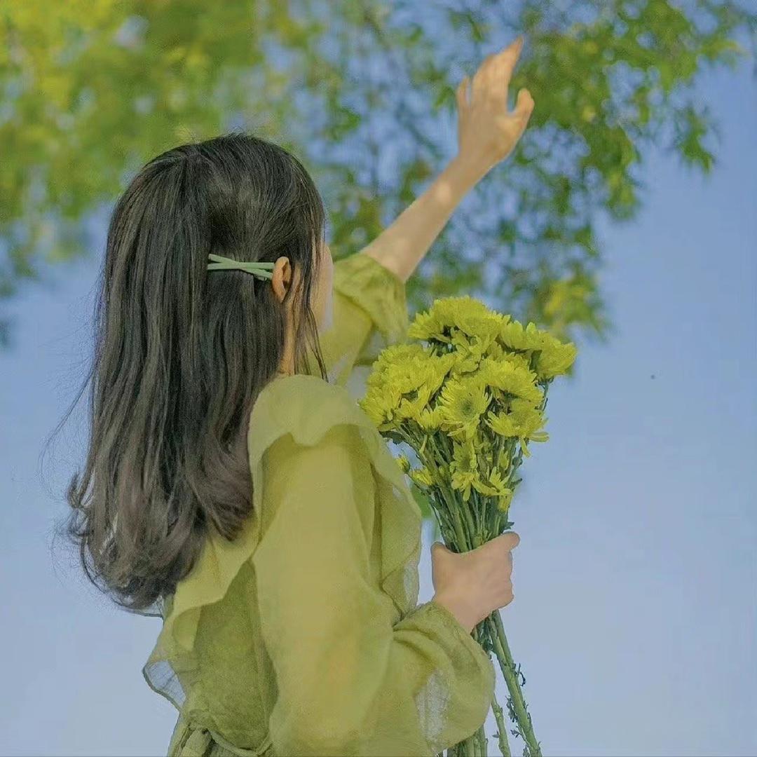 山水兰韵