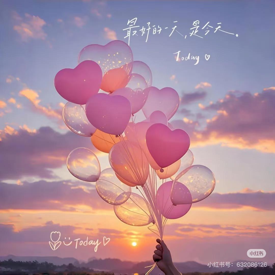 🌈向阳而遇❀