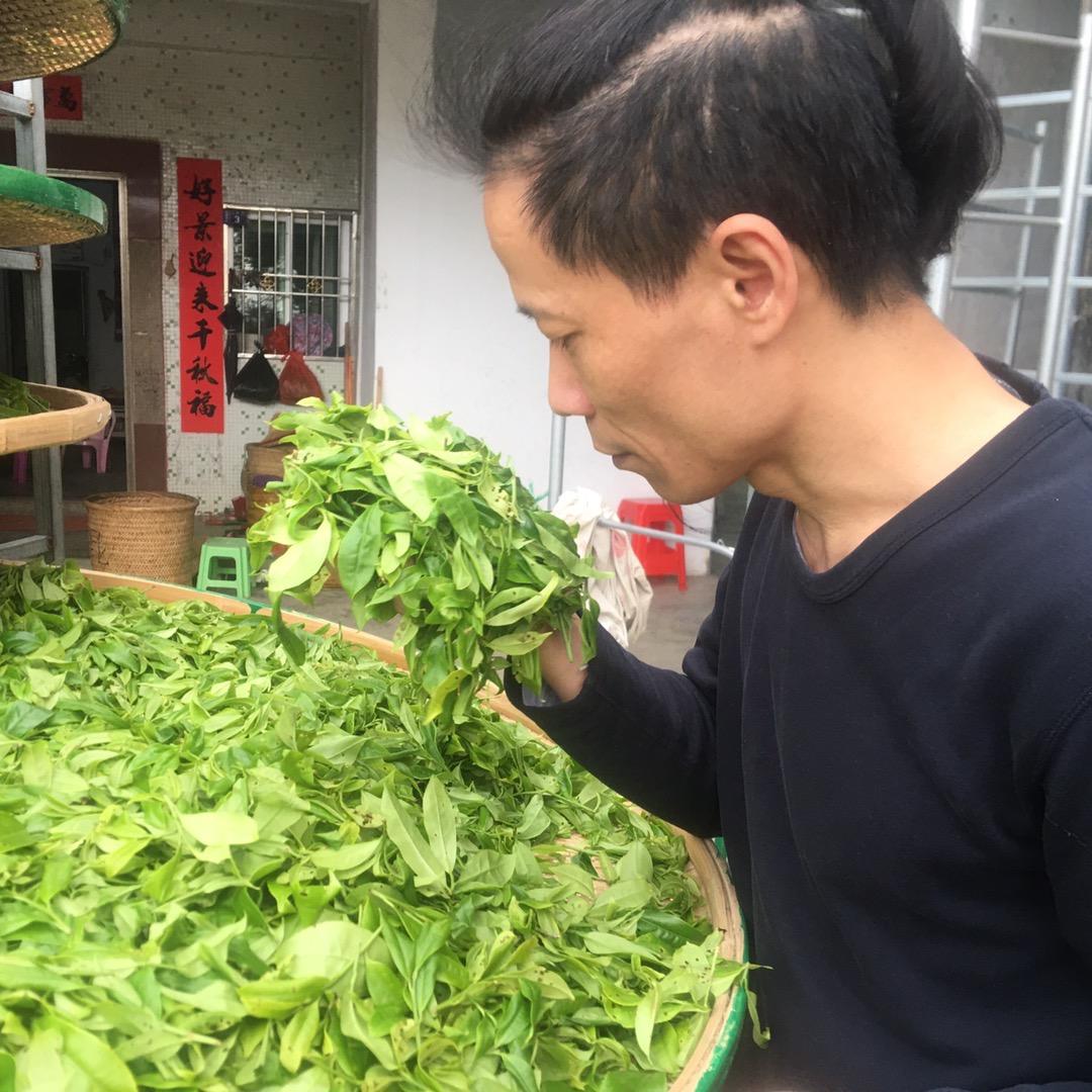 儒雅茶行