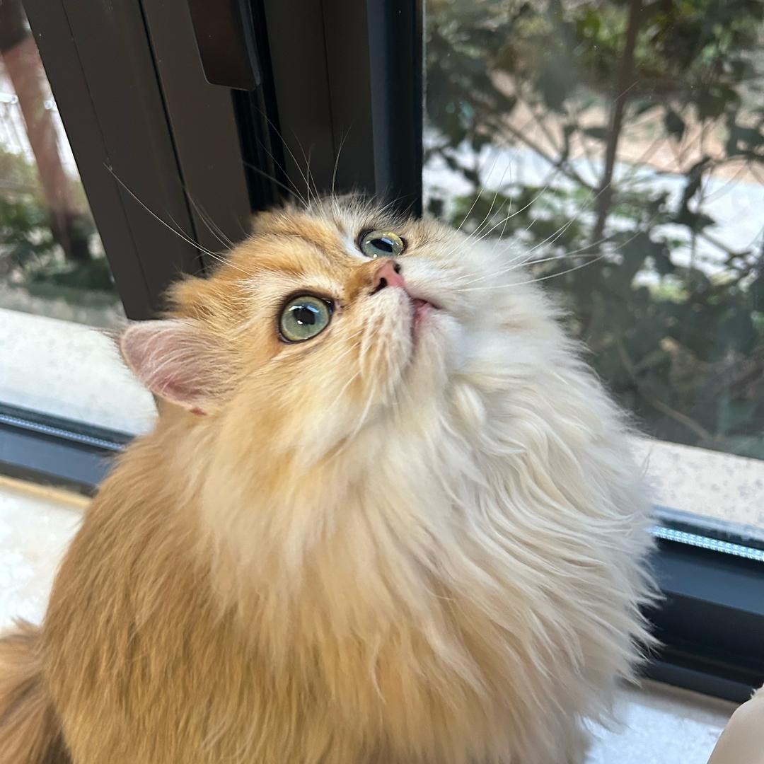 神都分部