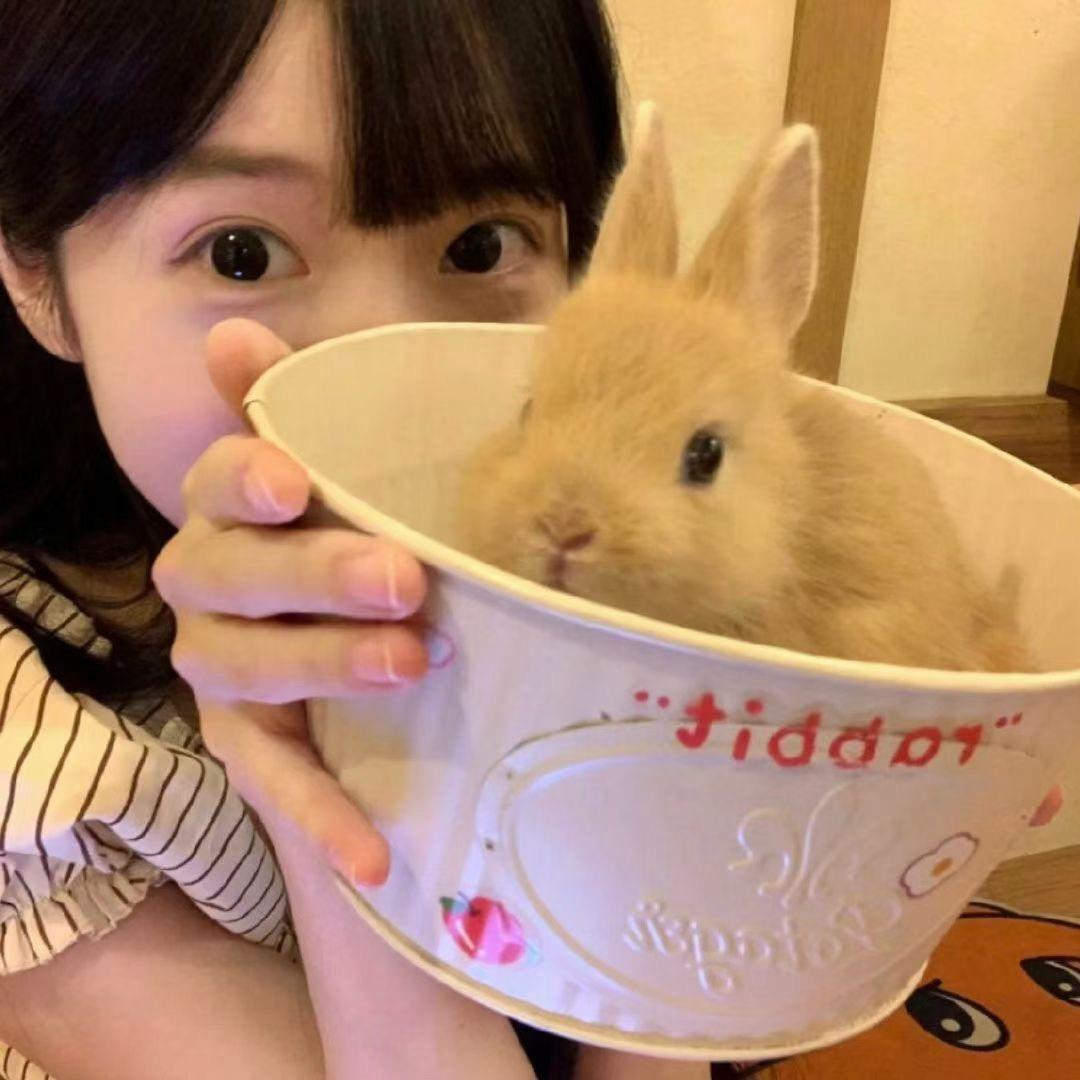 奇