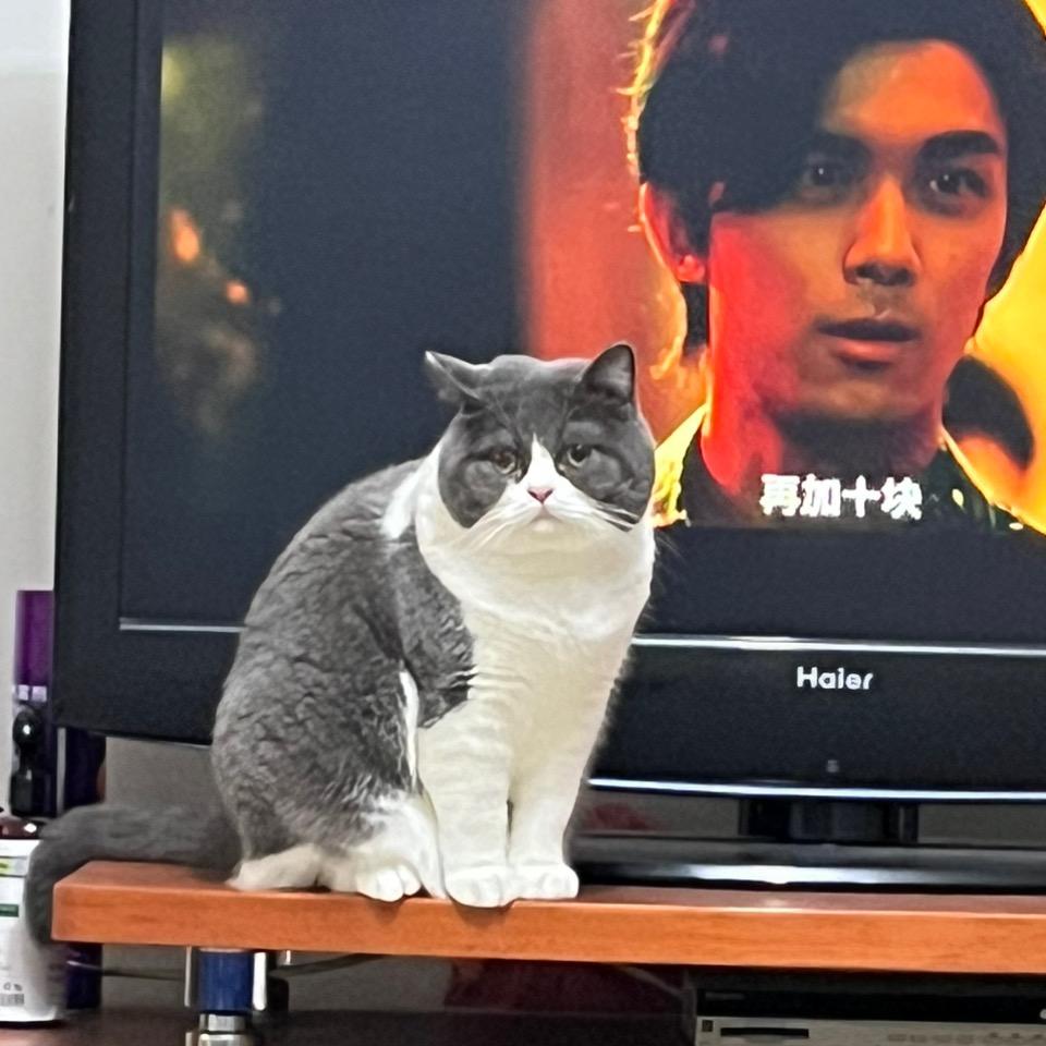 小勤