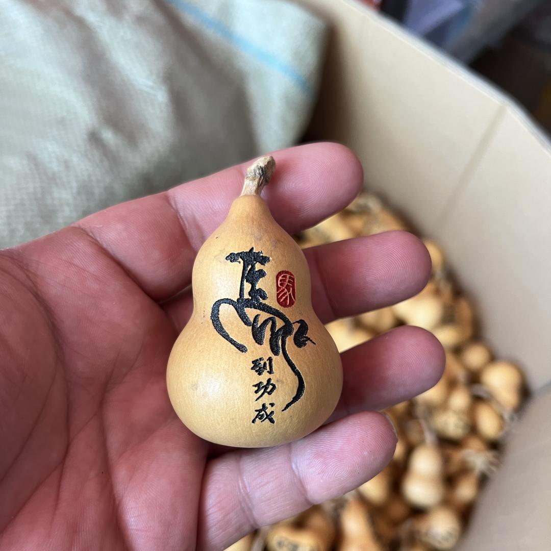 老杨的葫芦世界