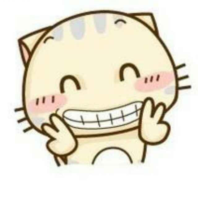 小呆猫KK