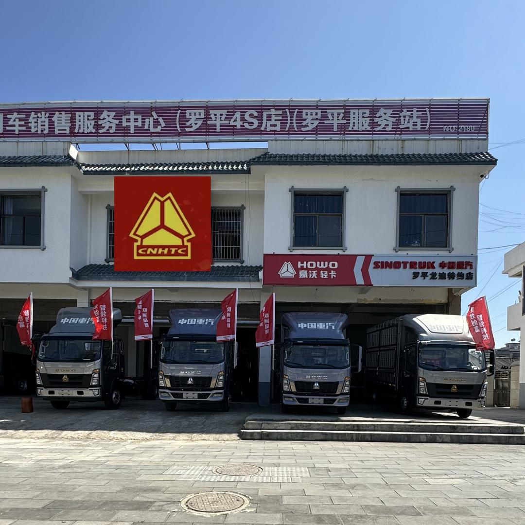 搜索 小杨罗平轻卡销售