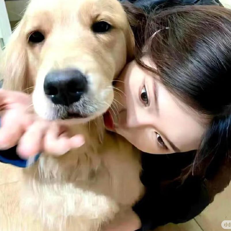 大福崽