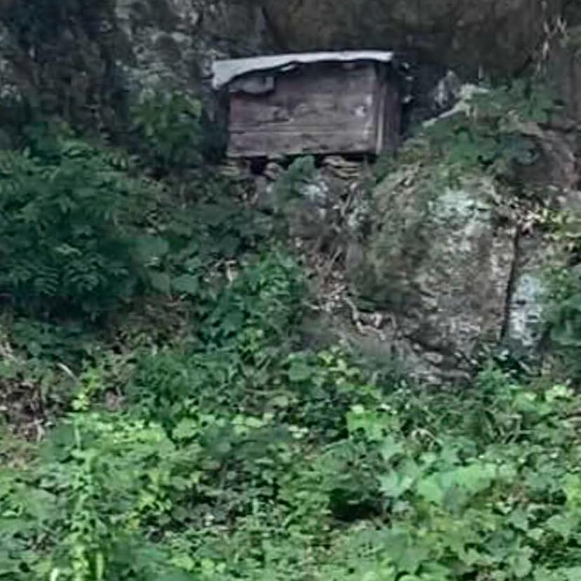 润峰蜂产品