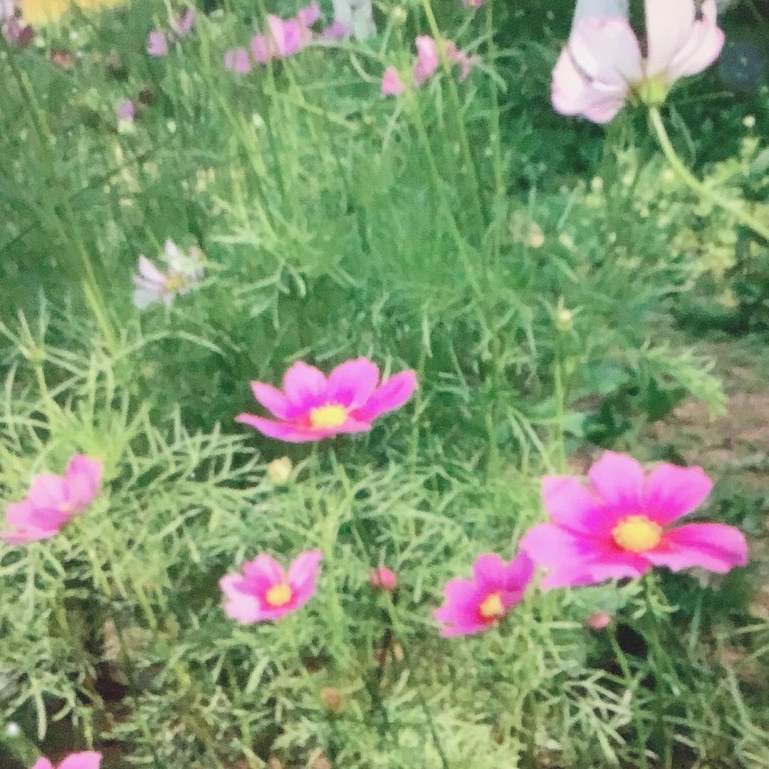 随心