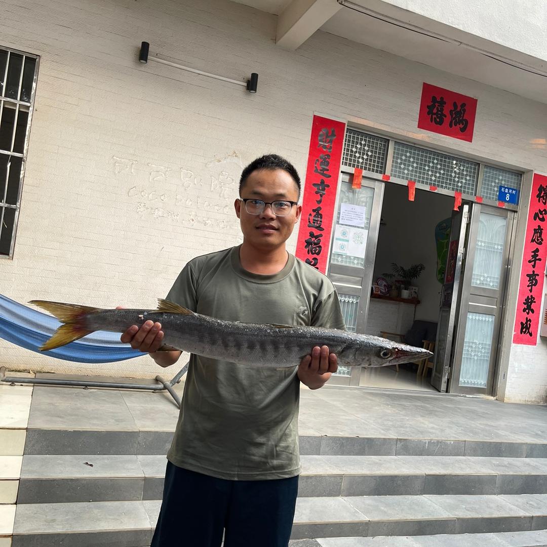 涠洲岛赶海（胡仔）