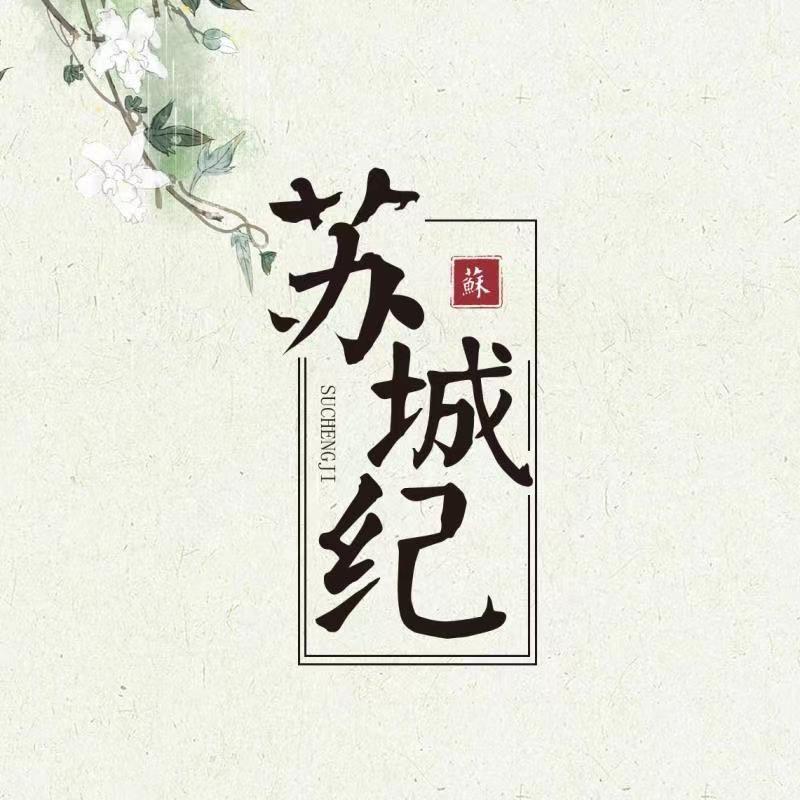 苏城纪童装