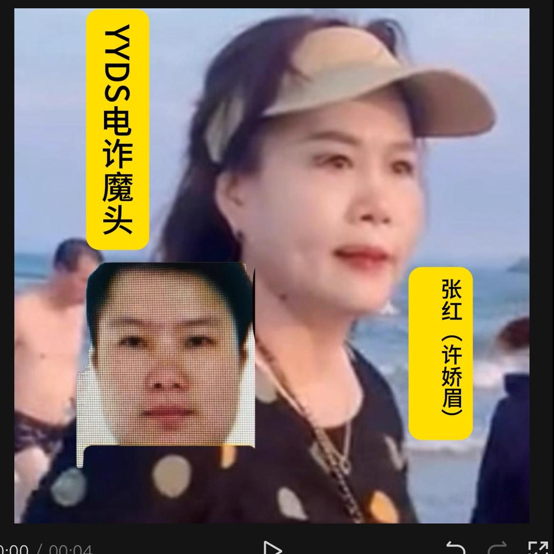 张红盗刷1987