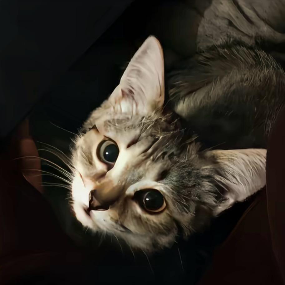 ‍‍‍y