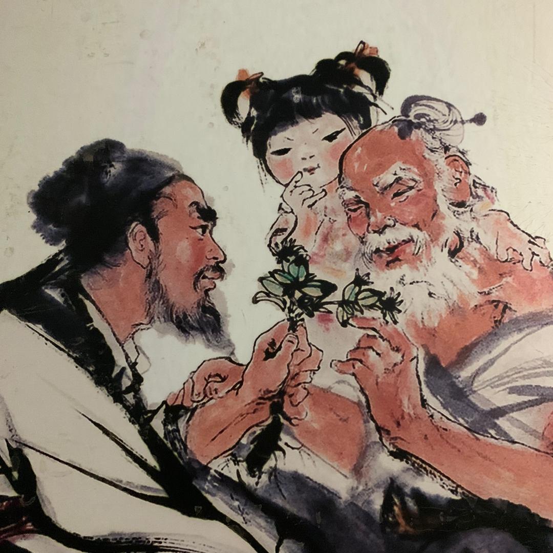 玄鸟落于商