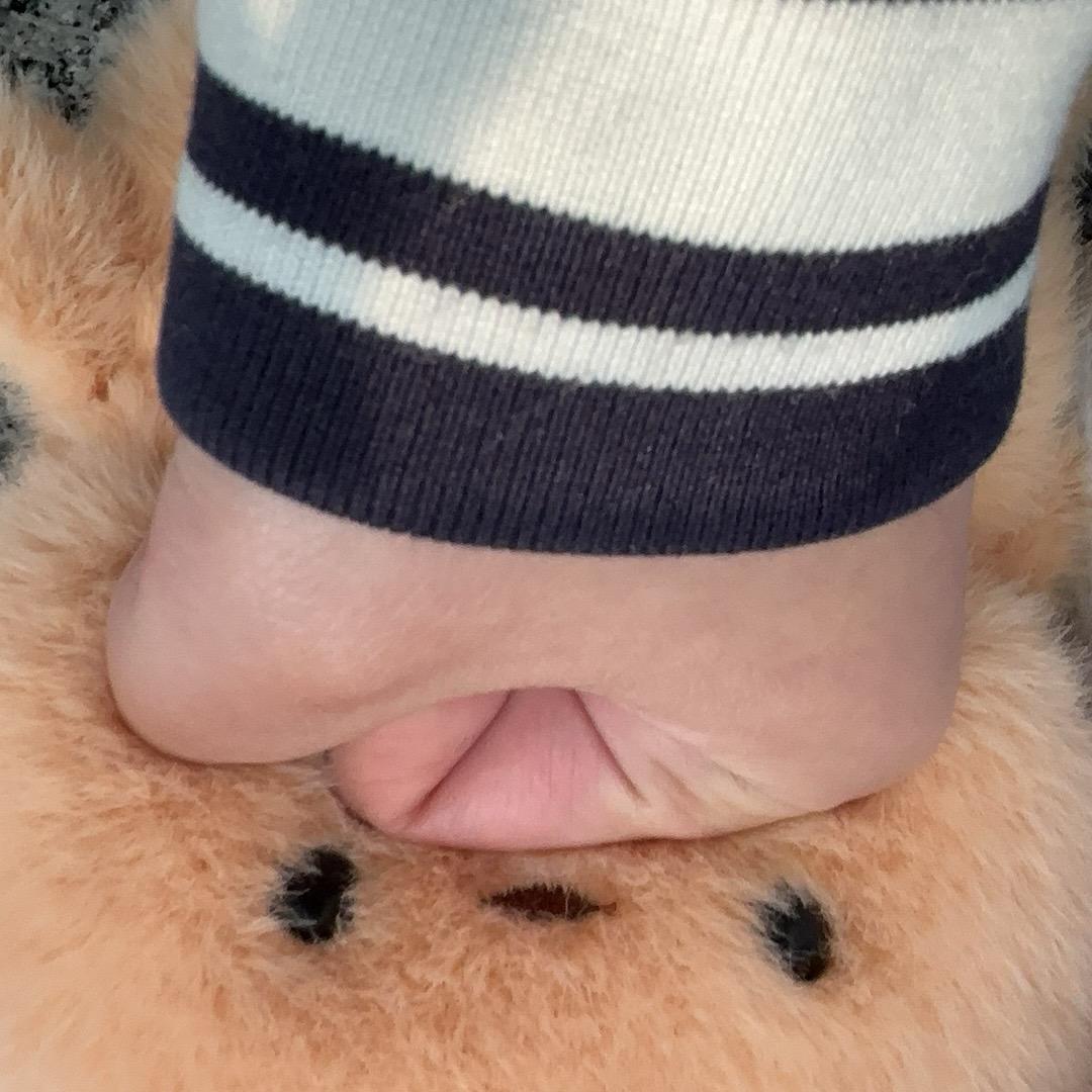 幼儿园糕材生