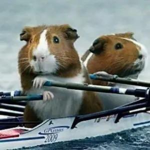 星缘  XYRowing