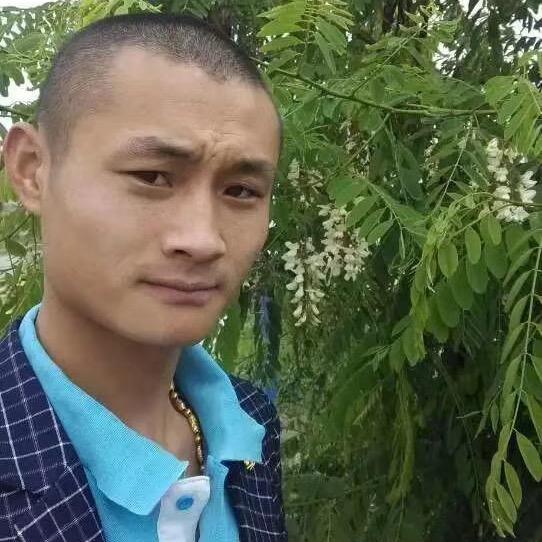 豫P小老弟