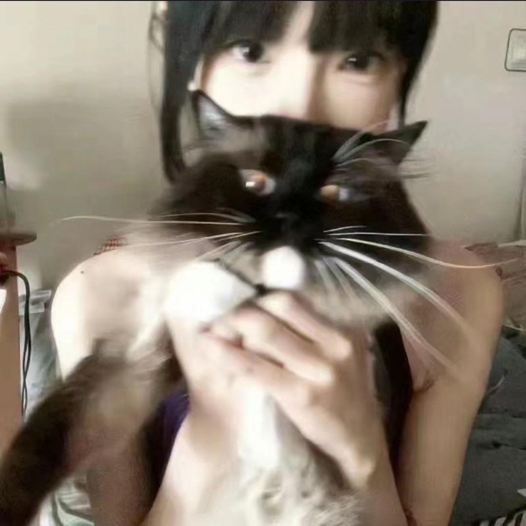 什么诺吧