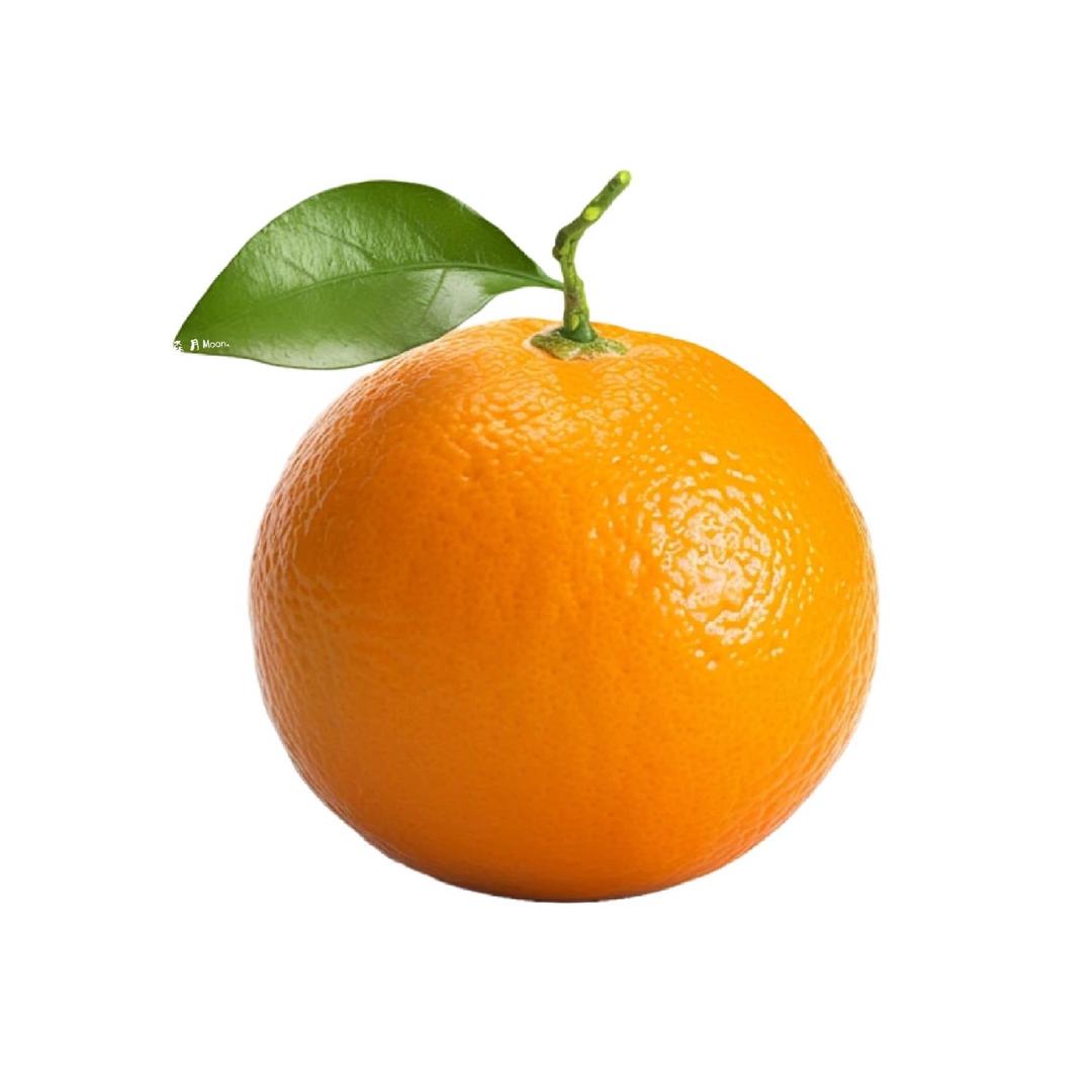 蚊子 🥥