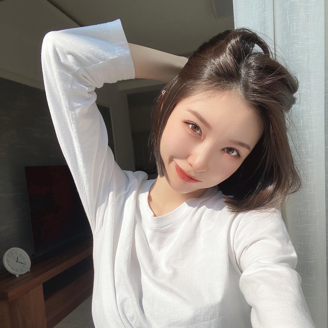 扶桑花🌺