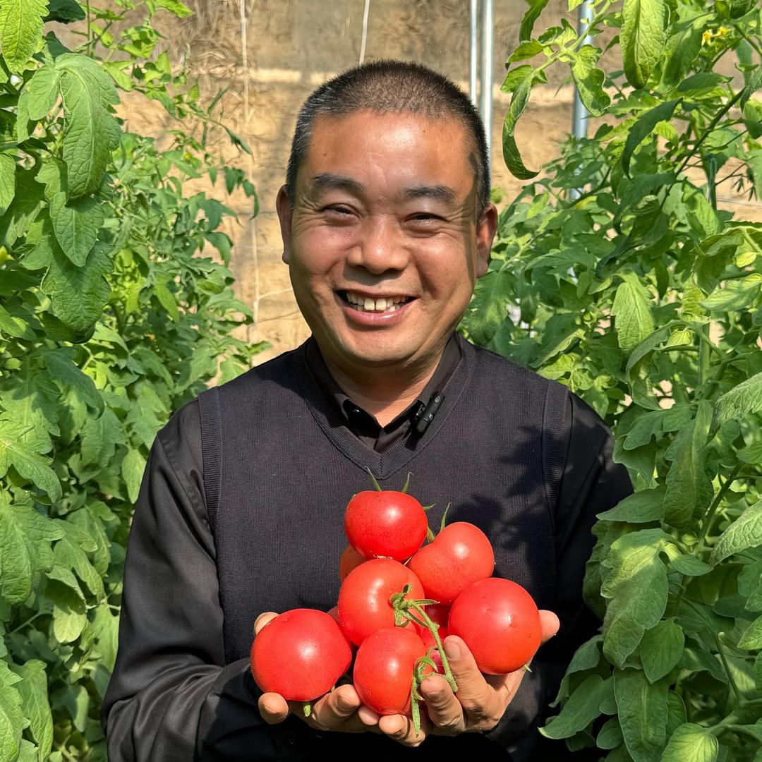 番茄支书陈保超