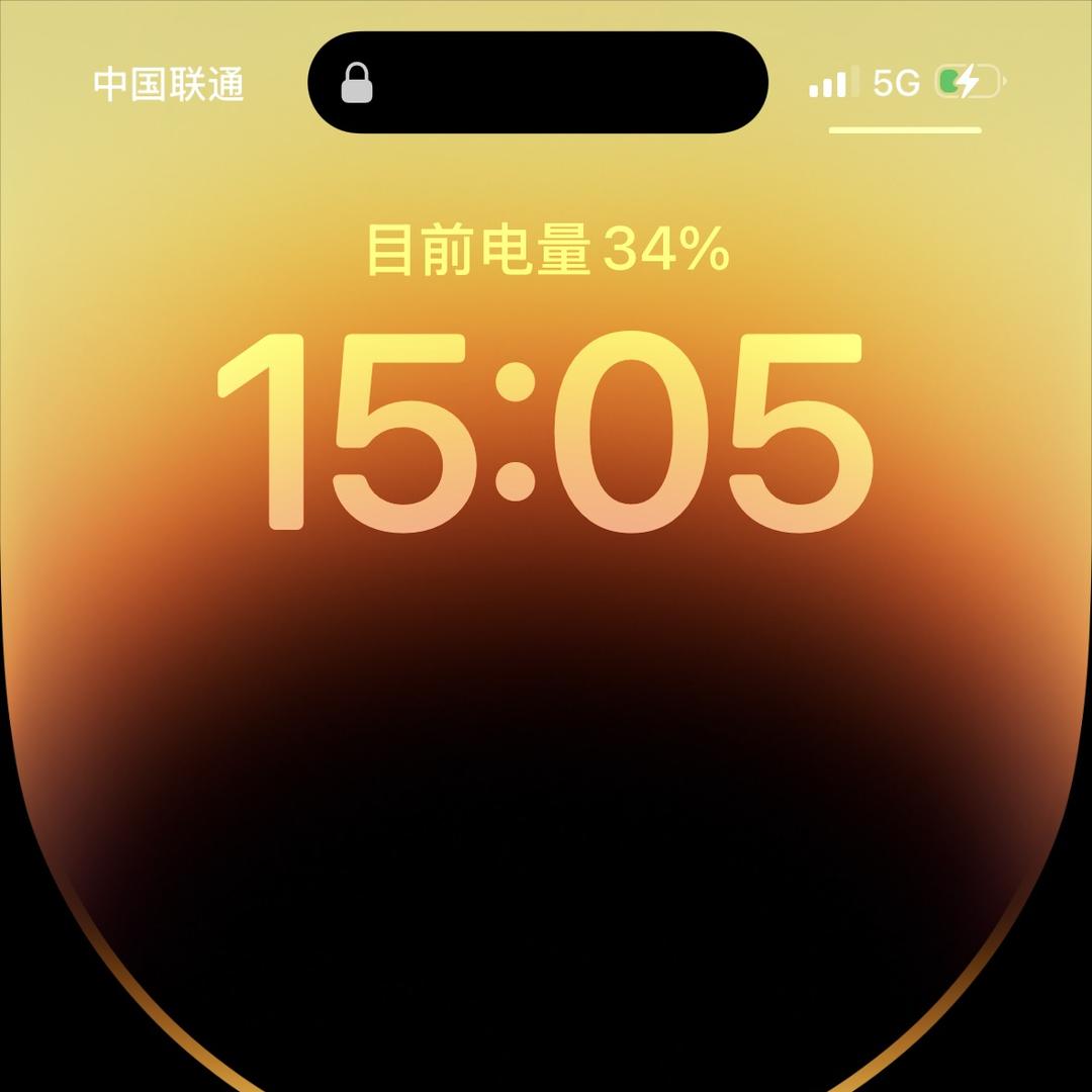 小田出口海带