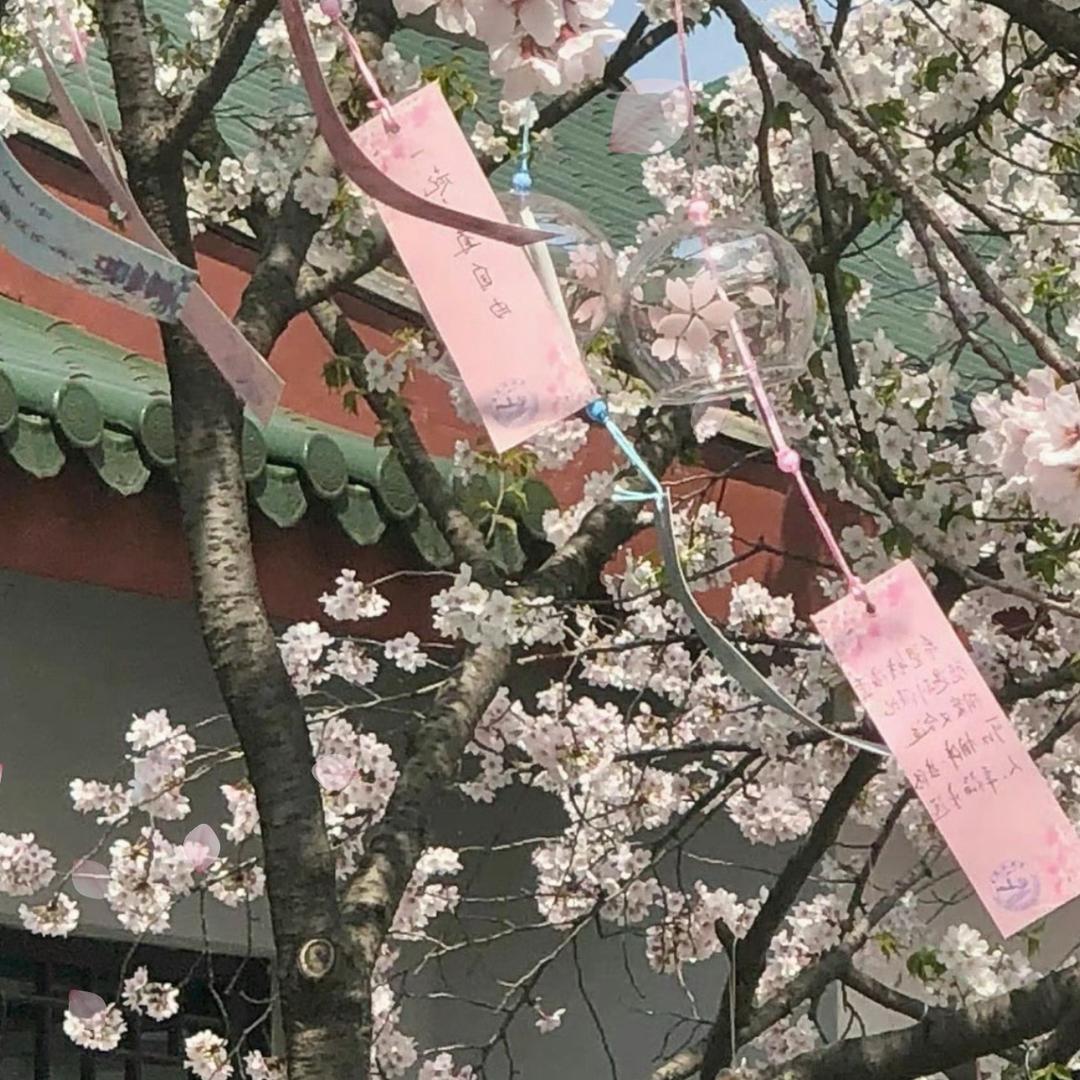 雾屿