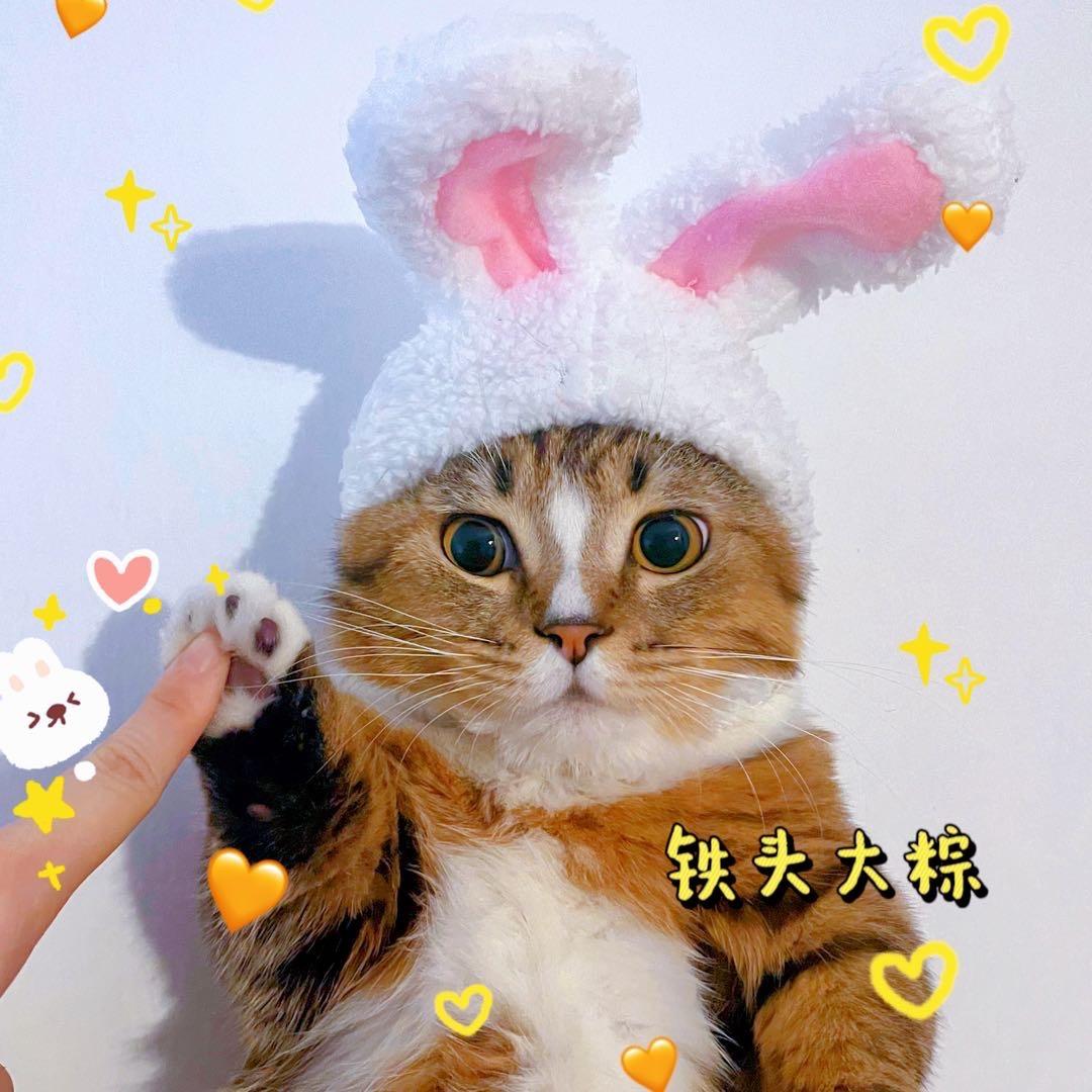 拖拉夫斯基粽子
