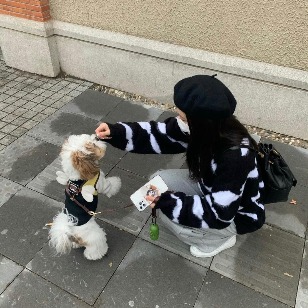 蓝豆儿