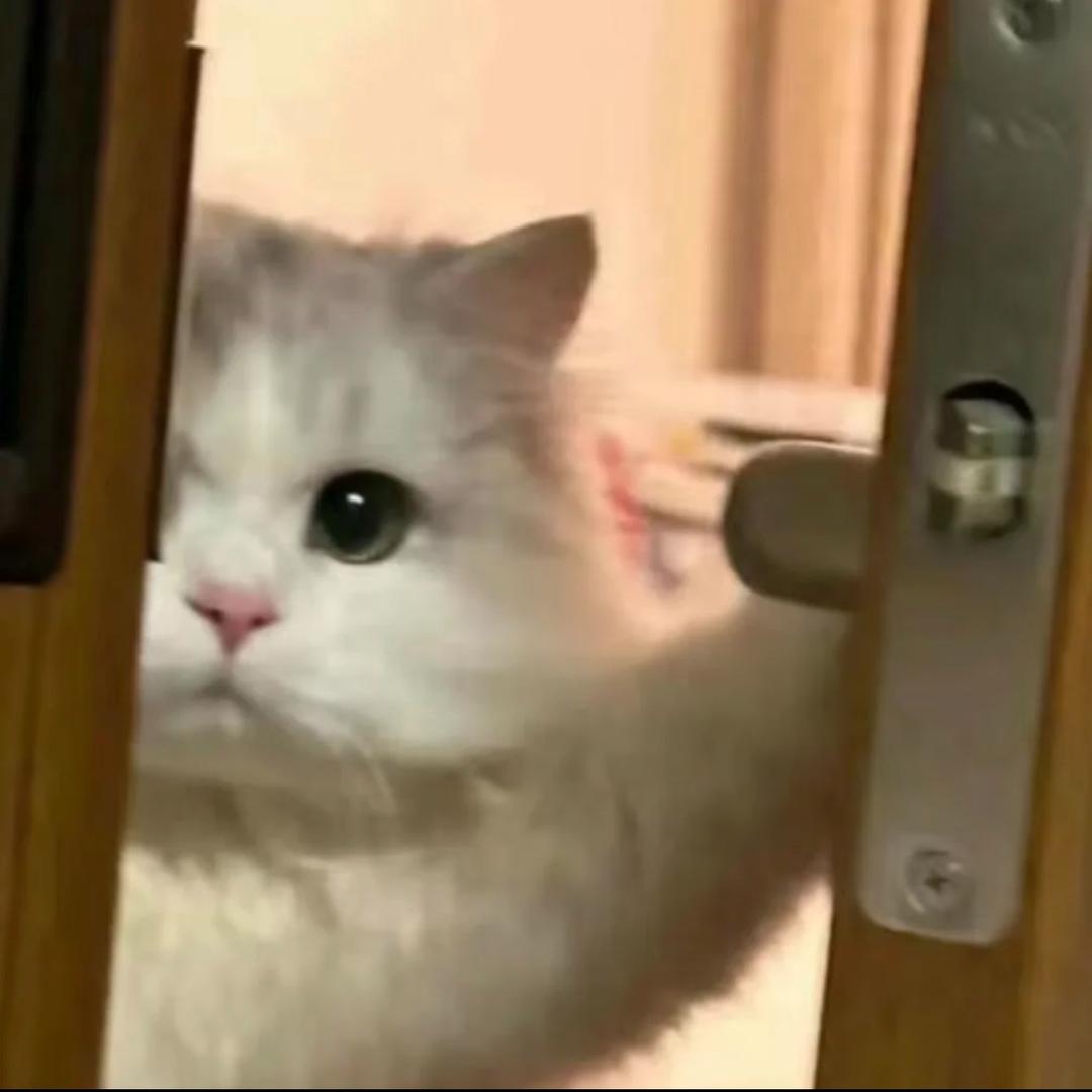一杯热牛奶