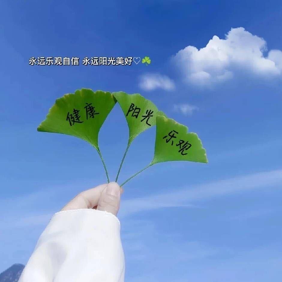 心静怡然🌻