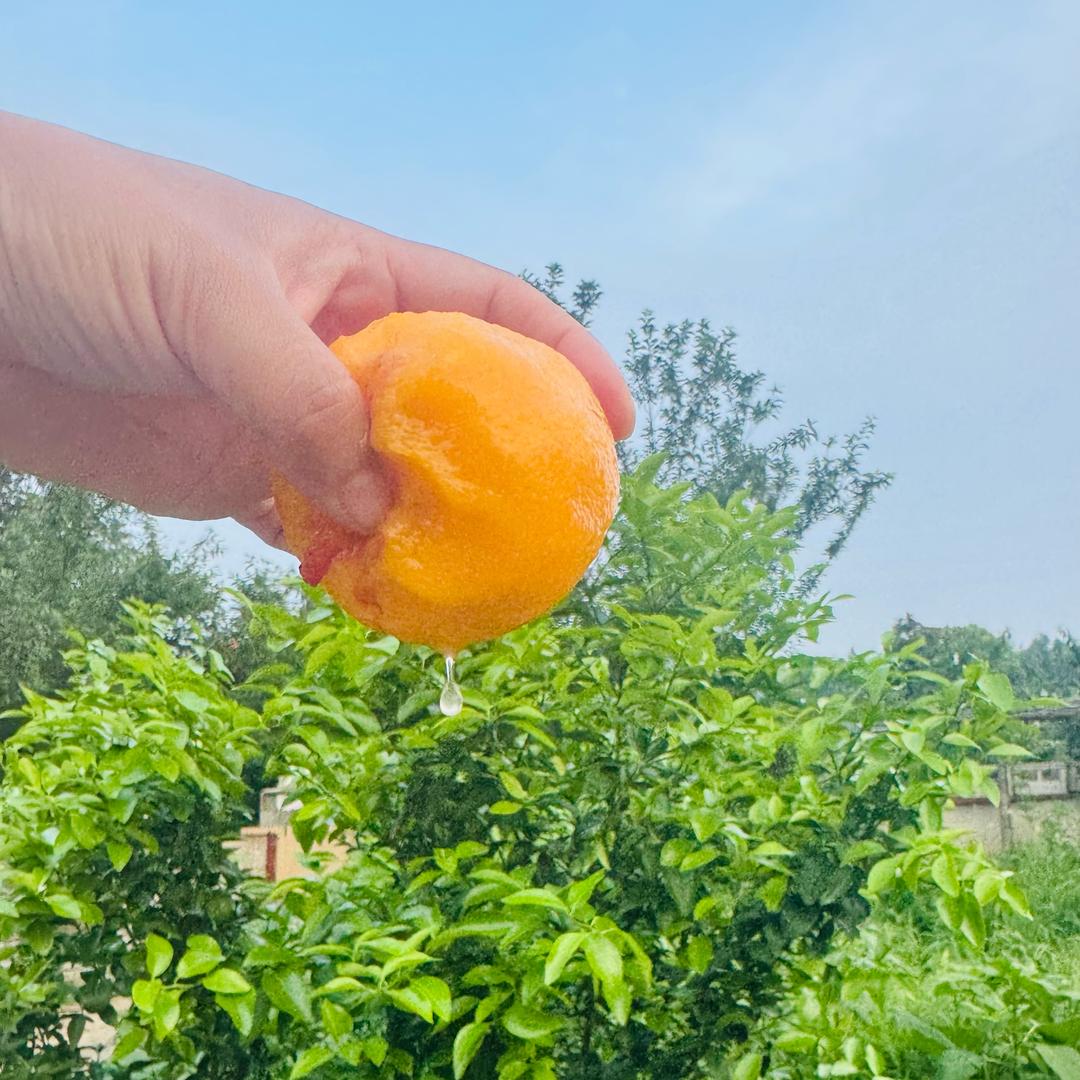 潘苏（美食家常）
