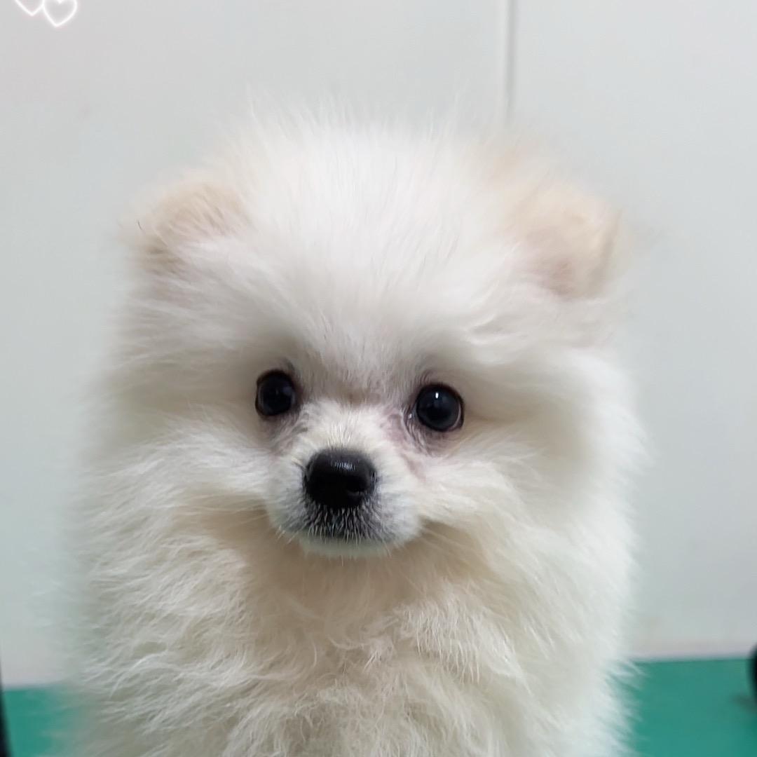 姐只是一个传说