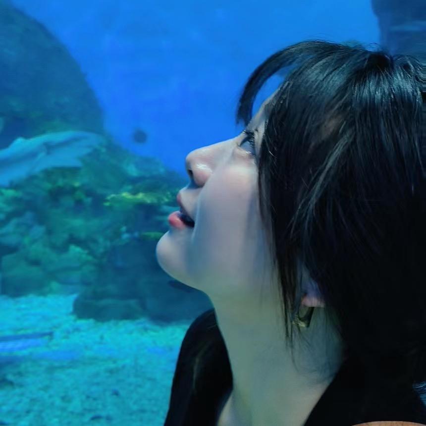 淘婉婉