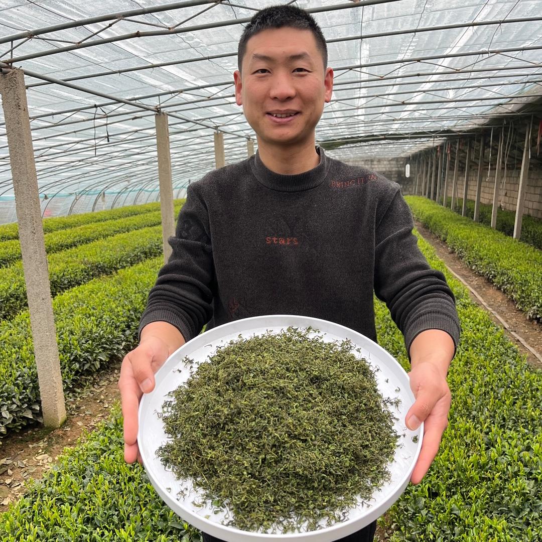 日照绿茶承工茗茶