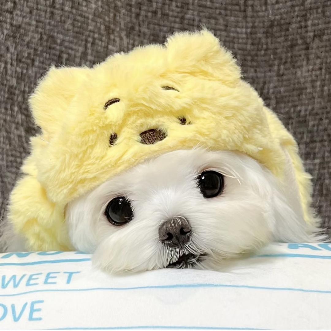 潘思懿