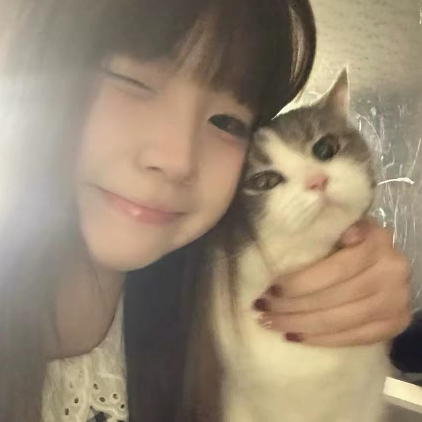 ʚ某某 ɞ