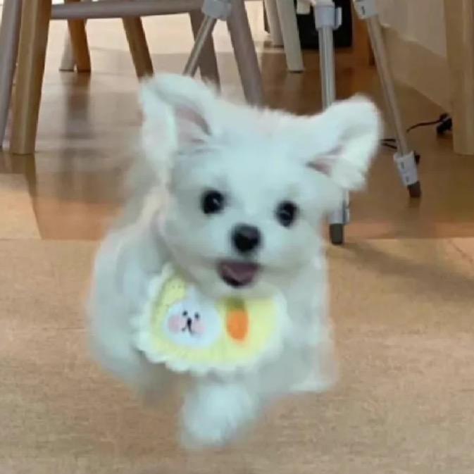 小鬼 _