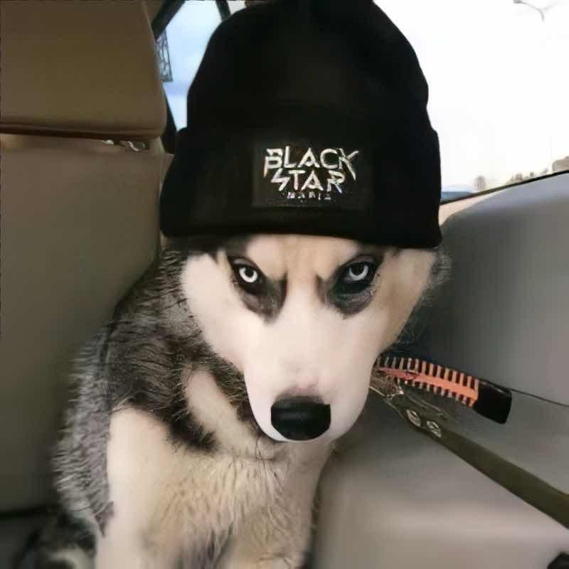 铭仔ovo