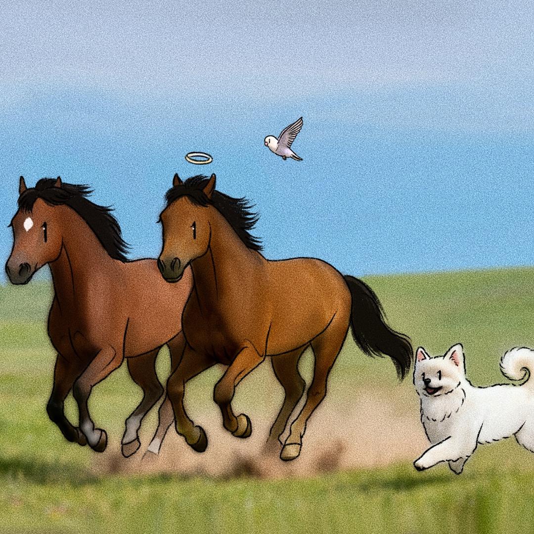 백경정🐴🕊️