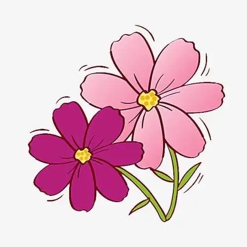 两朵小花。免费就业