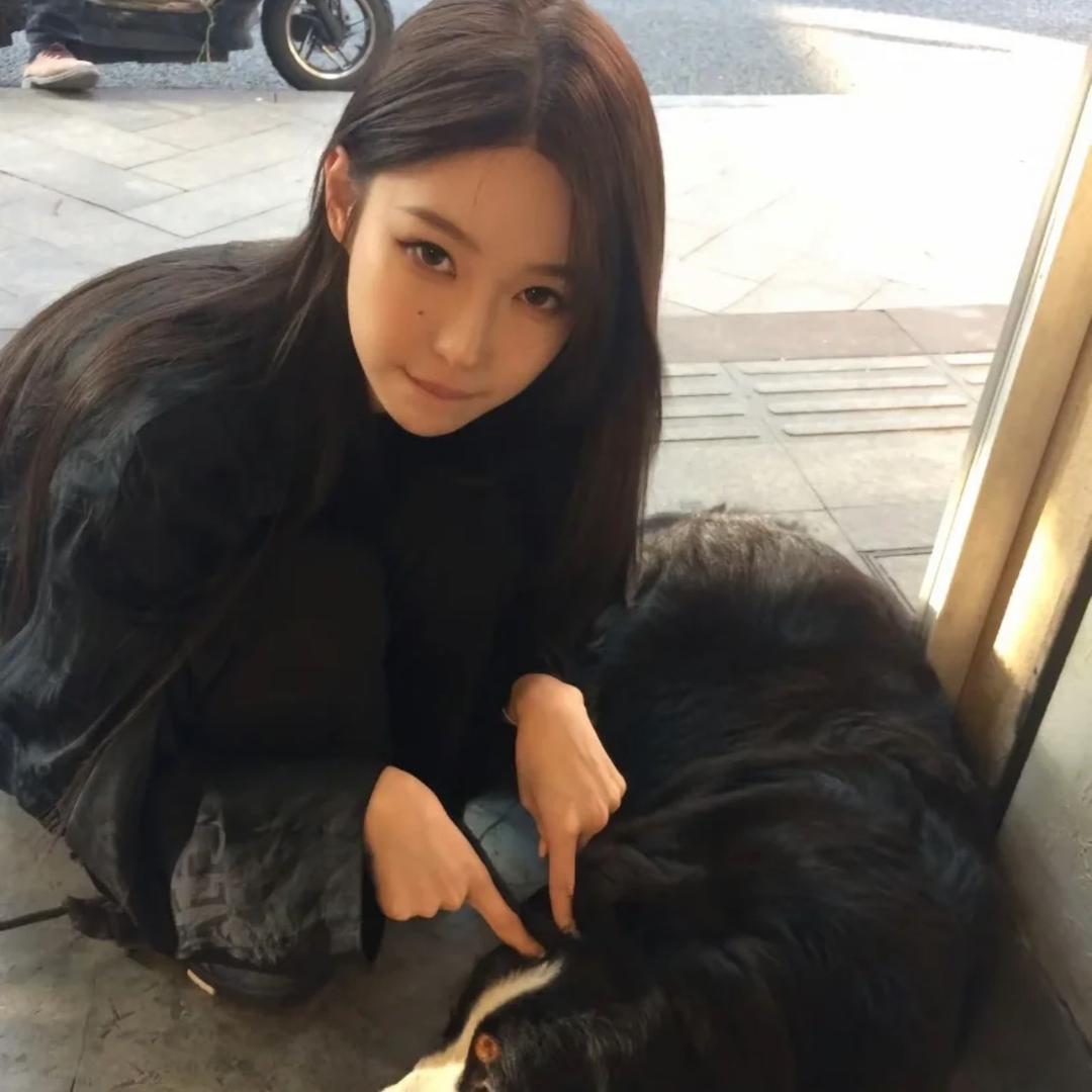 圆