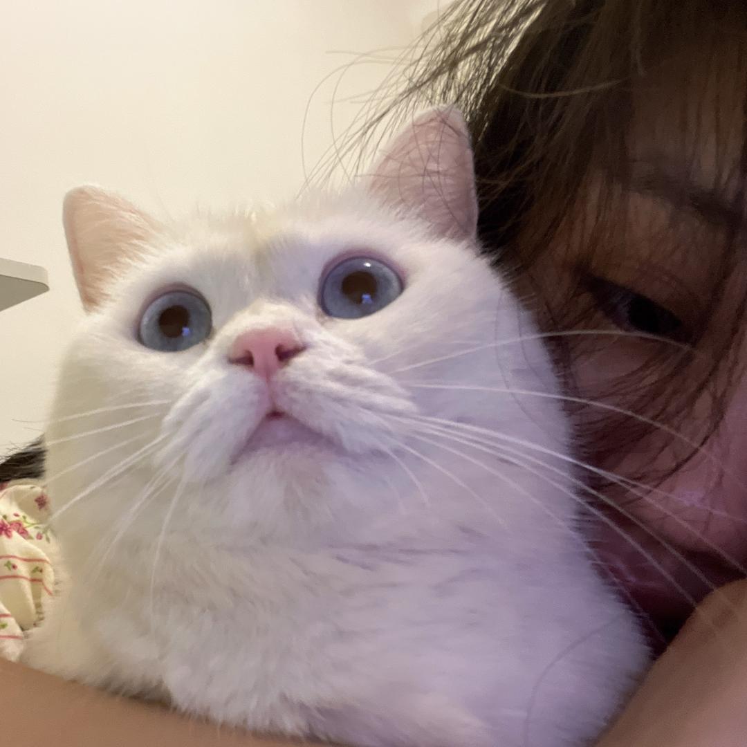 知欧周.