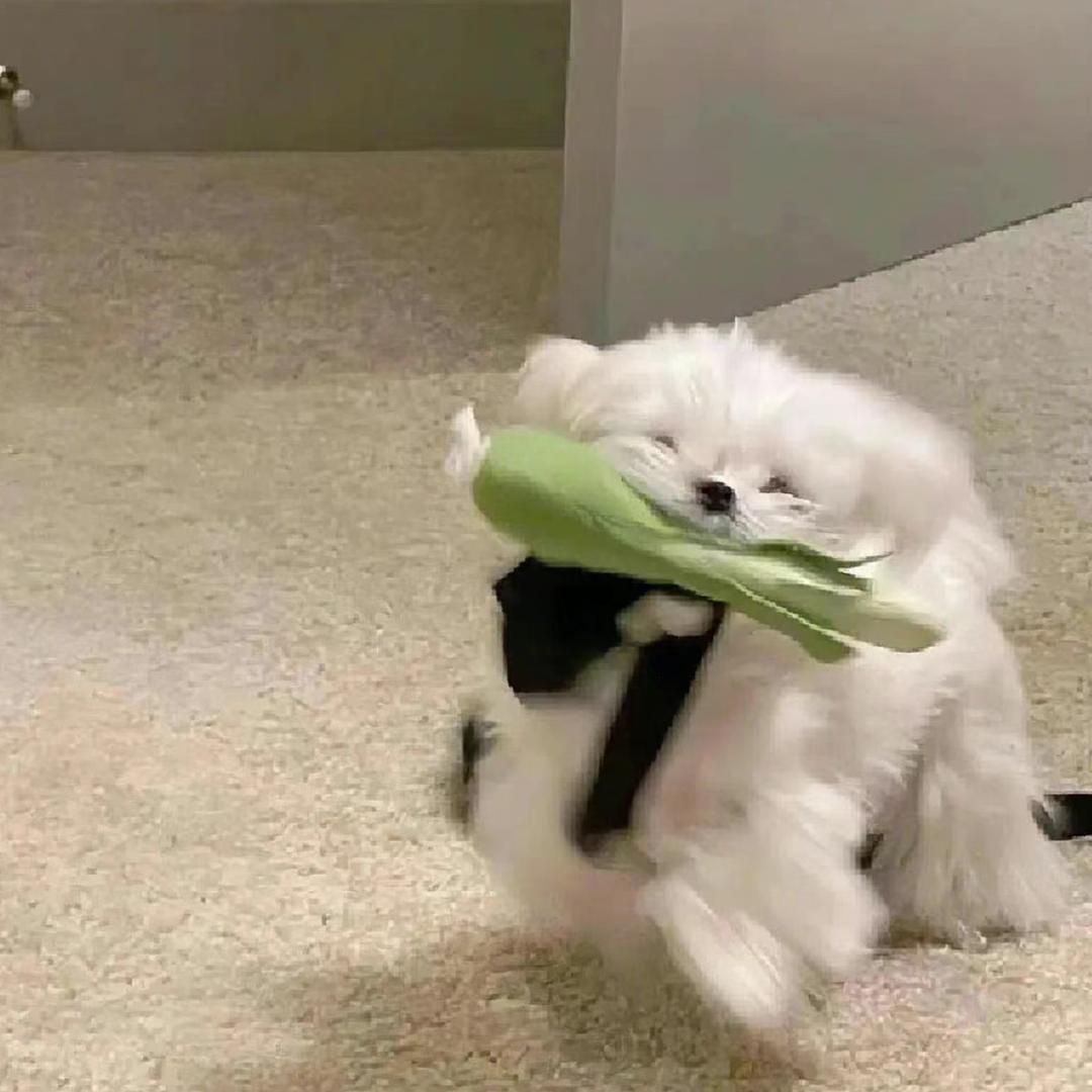 芊润baby
